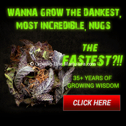Download The Grow Guide