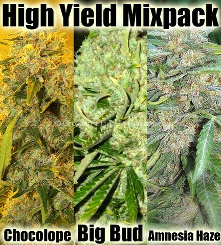 High Yield Mix Packs