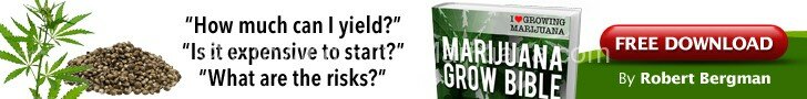 Free Marijuana Grow Guide